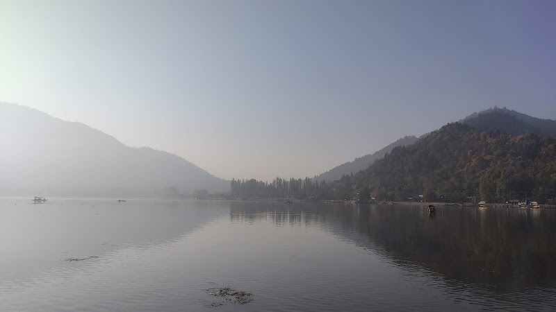 Royal Dandoo 4 STAR Group of Houseboats - Royal Dandoo 4 STAR Group of Houseboats, Ghat No 17, Nehru Park, Dal Lake, Rainawari, Srinagar, 190003