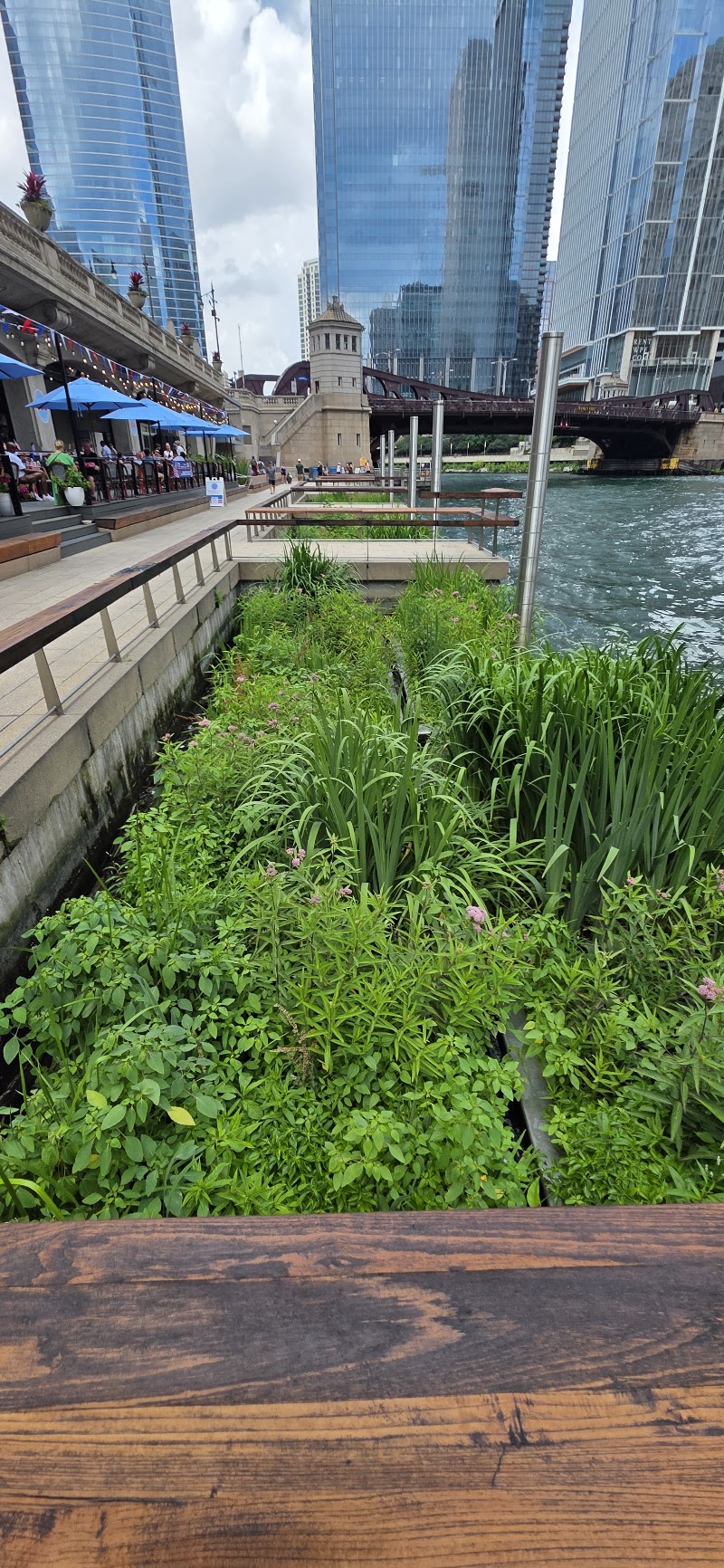 The Jetty | Riverwalk
