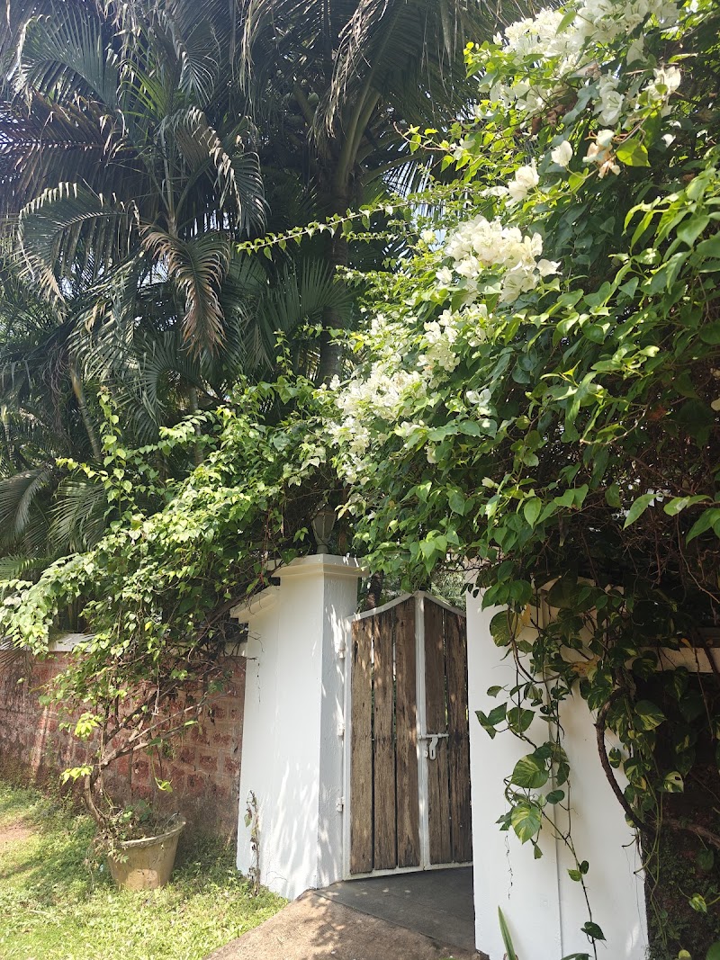 Assagao Bay - Assagao Bay, 537, Baunta Vaddo, Bouta Waddo, Assagao, Goa 403507, India