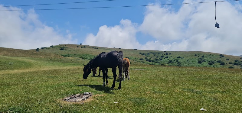 فندقلو نمین - فندقلو نمین, جنگل فندقلو, 9HM3+2FX, Ardabil Province, Iran