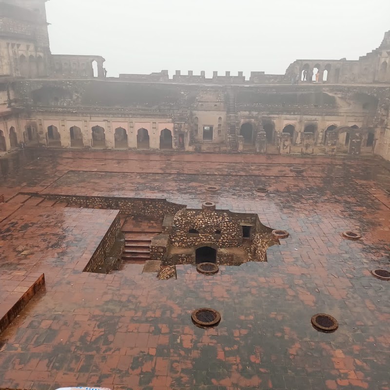 Ladar - Ladar, Uttar Pradesh, India