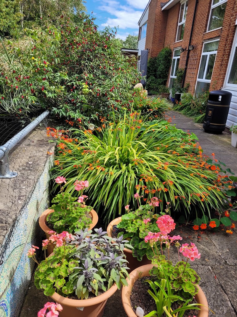 St Christopher's Hospice - St Christopher's Hospice, 51-59 Lawrie Park Rd, London SE26 6DZ, UK