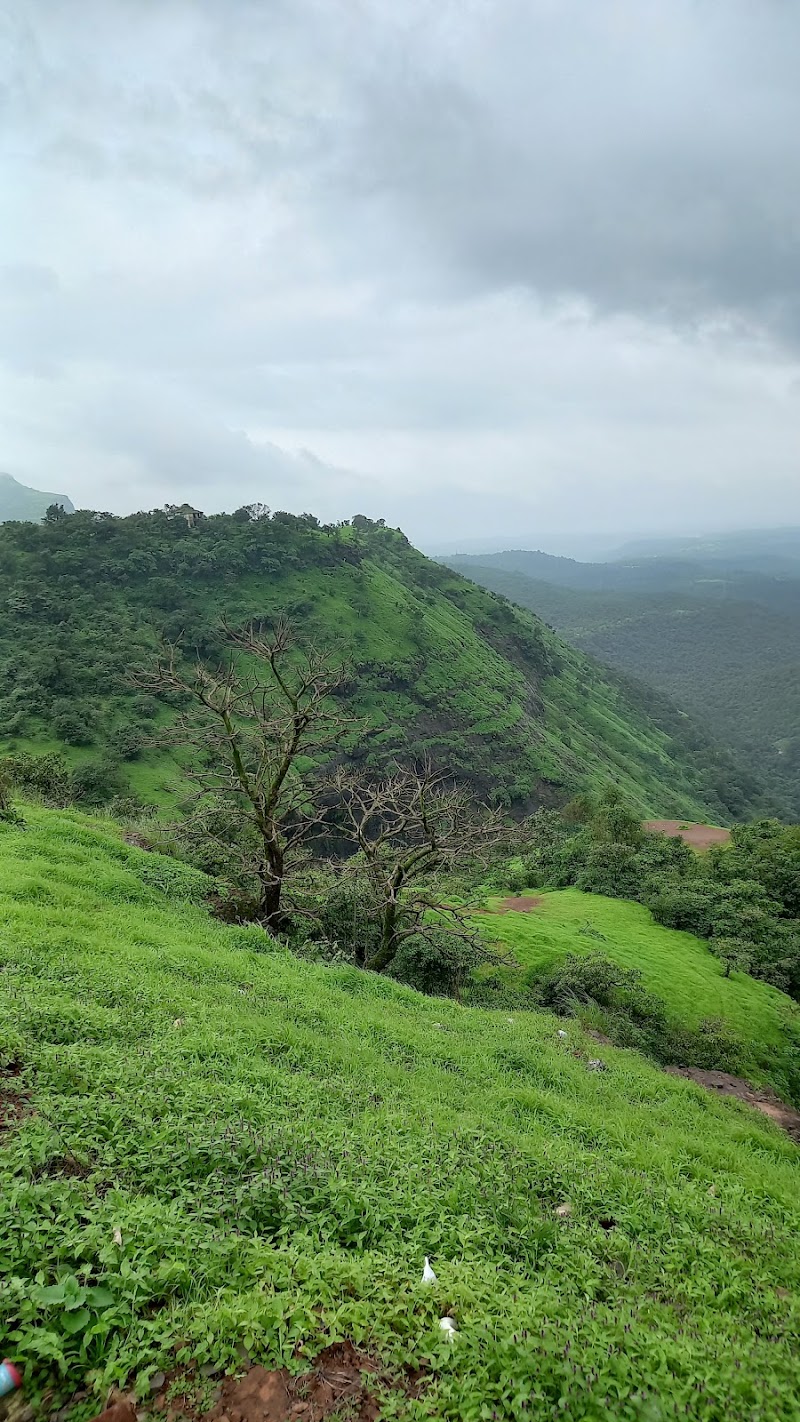 Camel Valley Waterfalls - Camel Valley Waterfalls, MGVG+5G, Kasara Khu., Maharashtra 422403, India
