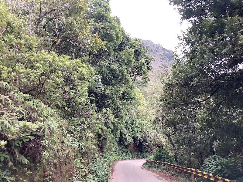 Mullayanagiri - Mullayanagiri, Karnataka 577131, India