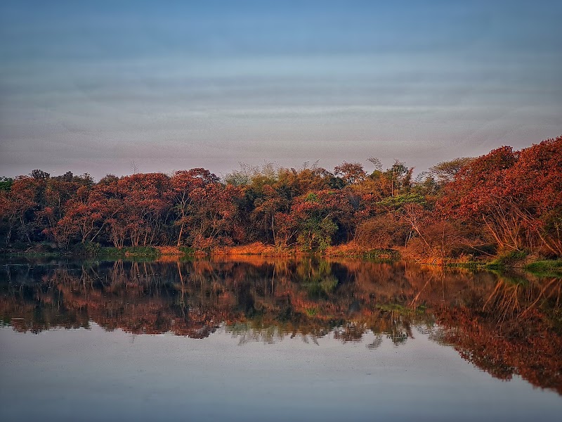 Hebbal Lake - Hebbal Lake, Hebbal Kempapura, Bengaluru, Karnataka 560092