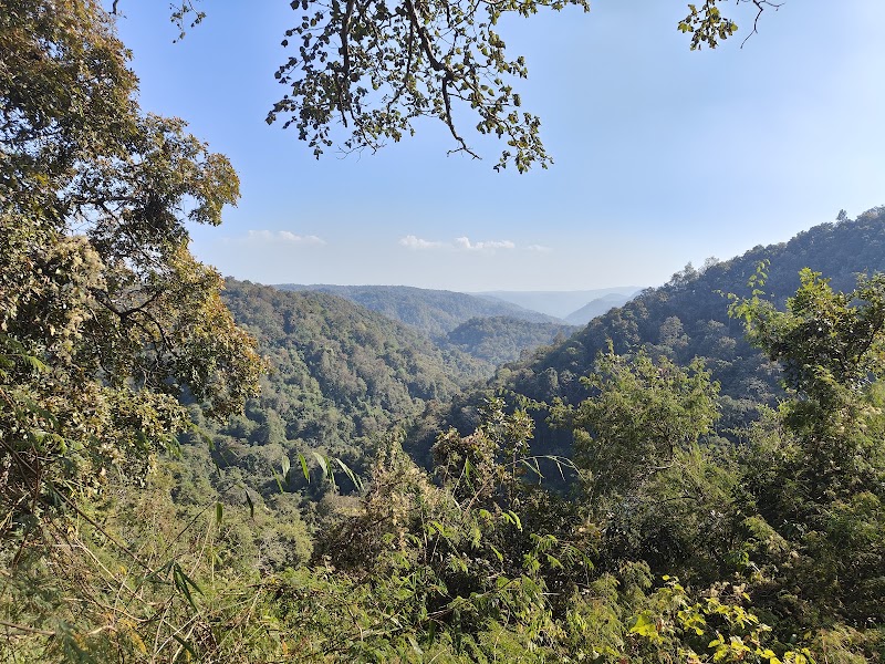 Dandeli Wildlife Sanctuary - Dandeli Wildlife Sanctuary, J.N Rd, solad complex, Dandeli, Karnataka 581325, India