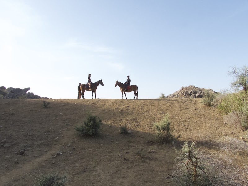 Utsav Camp Sariska - Utsav Camp Sariska, Village Murlipura, Tehla, Talab, Rajasthan 301410, India