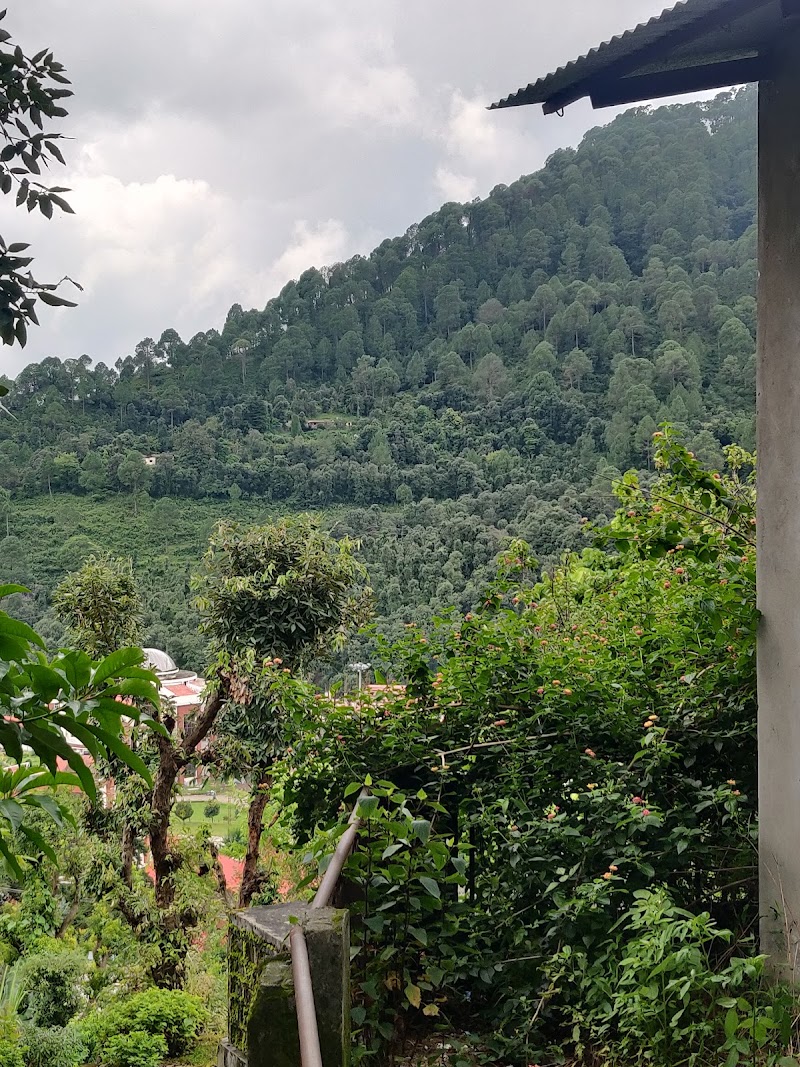 The Pine Trees Place - The Pine Trees Place, Aastha Cottages, 9GGJ+X63, next to Pindari Cottage, Farsoli, Nagri Gaon, Uttarakhand 263132, India