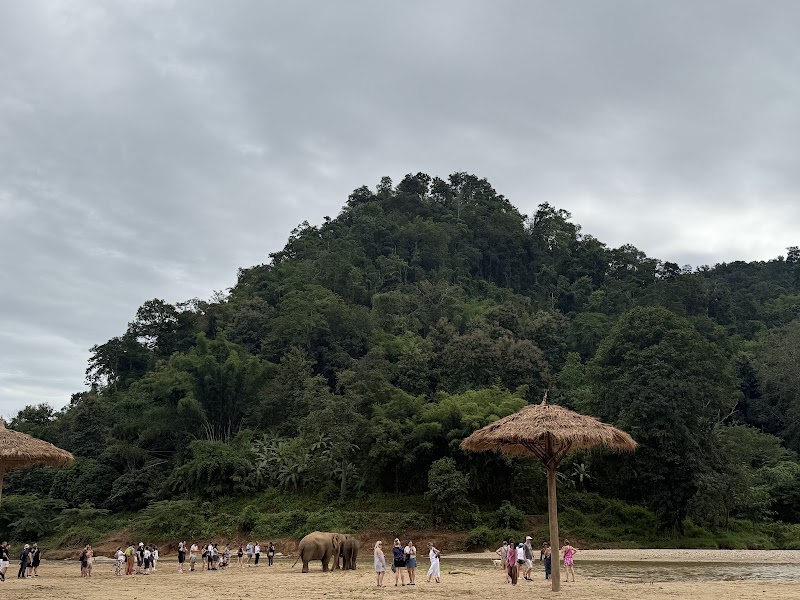 Elephant Nature Park - Elephant Nature Park ชม.3052 Tambon Kuet Chang, Amphoe Mae Taeng, Chang Wat Chiang Mai 50150, Thailand