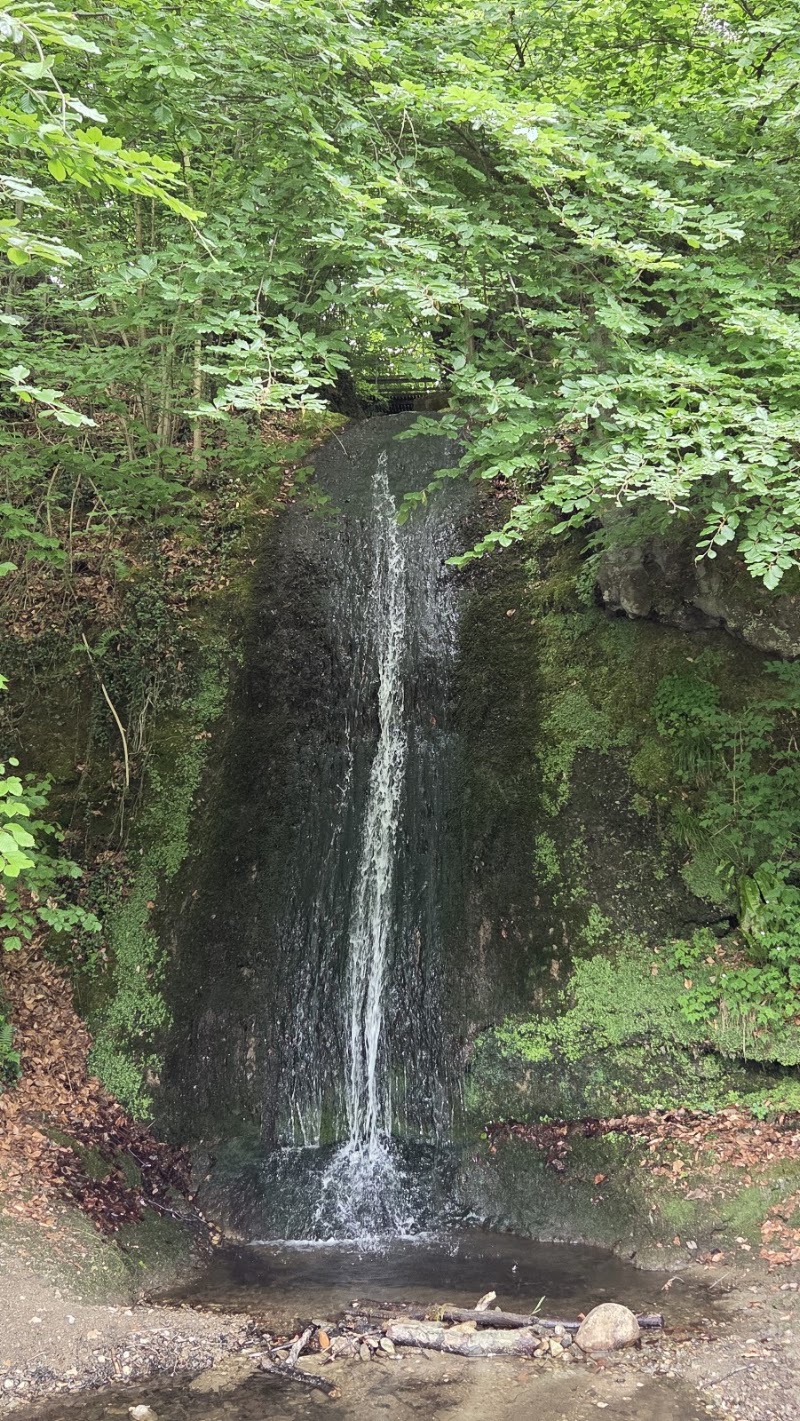 Wasserfall - Wasserfall Maihofstrasse 99, 6006 Luzern, Switzerland