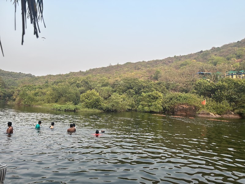 Sweet Water Sanctuary - Sweet Water Sanctuary, PM2X+3W, Arambol, Goa 403524, India