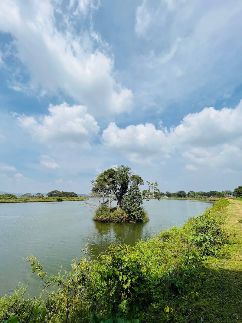 Moyar Dam - Moyar Dam JM2R+P8W, Moyar Dam Rd, Masinagudi, Tamil Nadu 643223, India