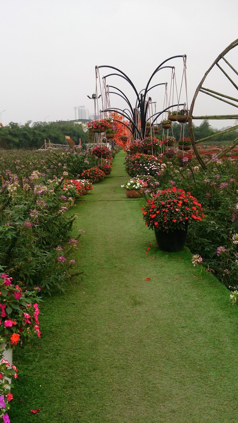 Thung lũng hoa hồ Tây - Thung lũng hoa hồ Tây, Ngã 3 P. Nhật Chiêu, Tây Hồ, Hà Nội, Vietnam