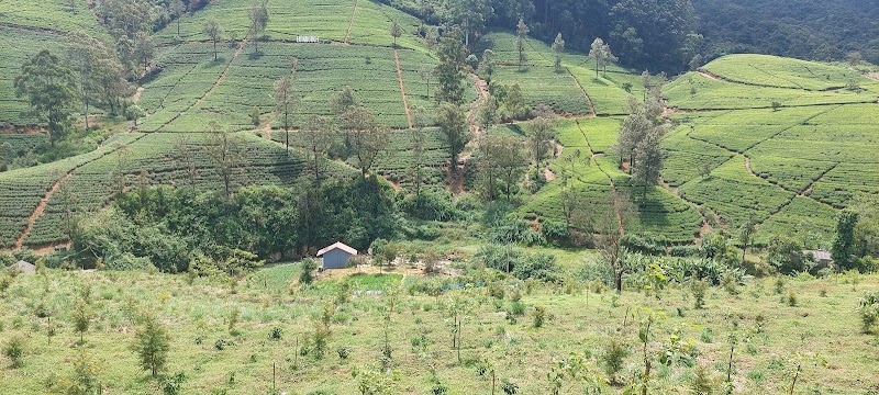 nanuoya - nanuoya, WPRV+FH7, Nuwara Eliya, Sri Lanka