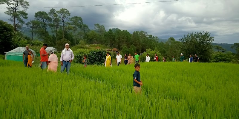 Bhramari Home Stay ,Him Natural - Bhramari Home Stay ,Him Natural, WJJW+RGR bangla, Charson, Tilsari, Uttarakhand 263641, India