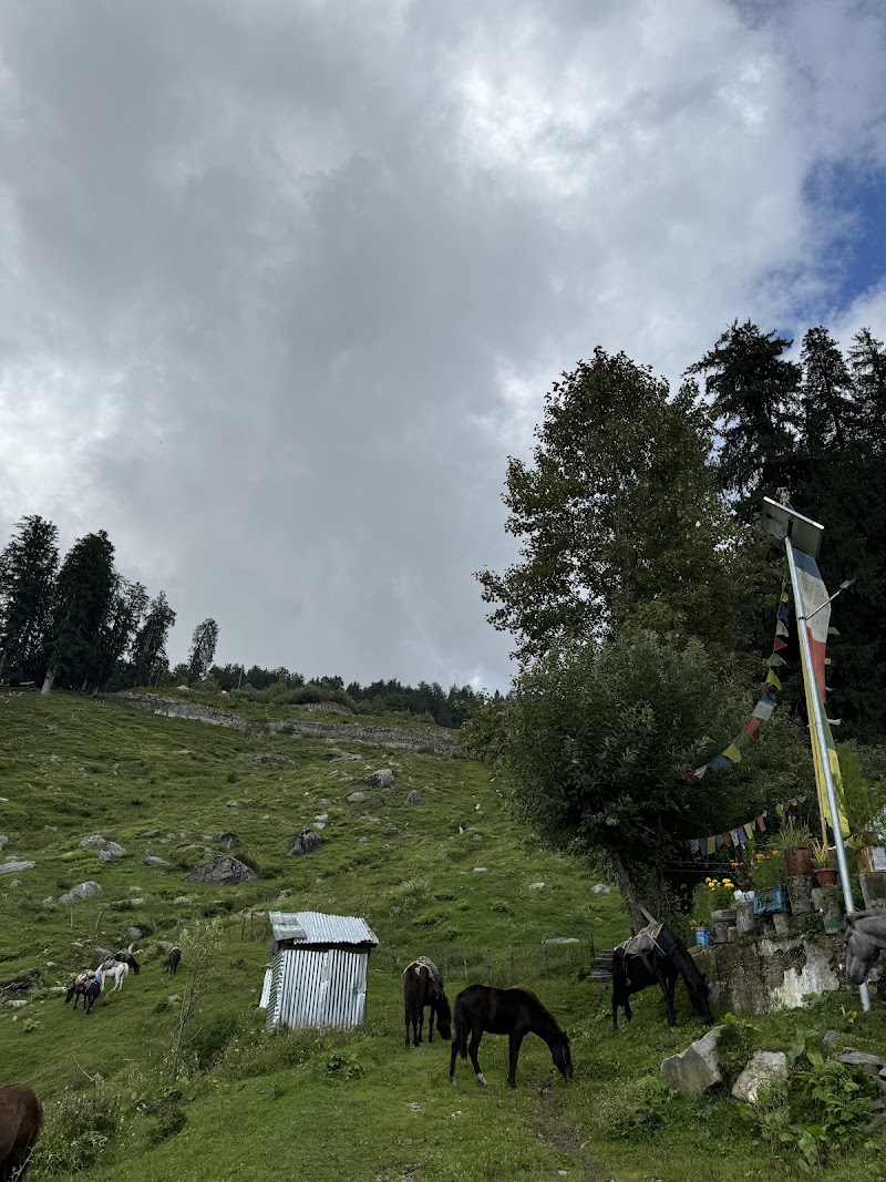 Sethan Mountain Viewpoint - Sethan Mountain Viewpoint, 66F7+G5, Manali, Himachal Pradesh 175143, India