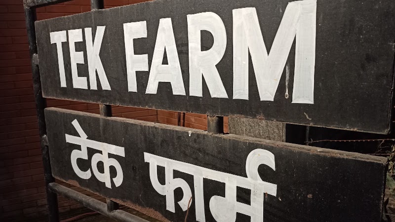 Hostie TEK Farm Villa - Hostie TEK Farm Villa, Tek Farm, 2nd Avenue, Mother Teresa Dr, Dera Village, Chhatarpur, New Delhi, Delhi 110074, India