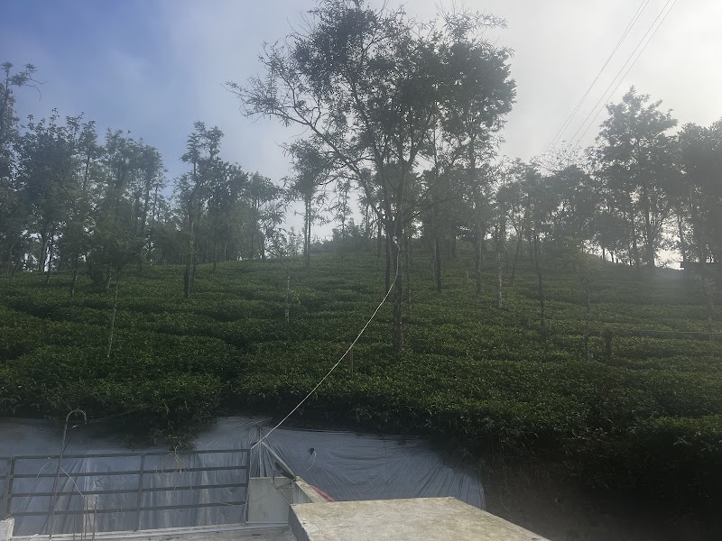 The Bulbul Nest Homestay - The Bulbul Nest Homestay GF4C+W9J, Gudalur, Tamil Nadu 643211, India