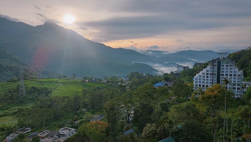 Tea Castle - Tea Castle PO, Chithirapuram, Munnar, Kerala 685565, India
