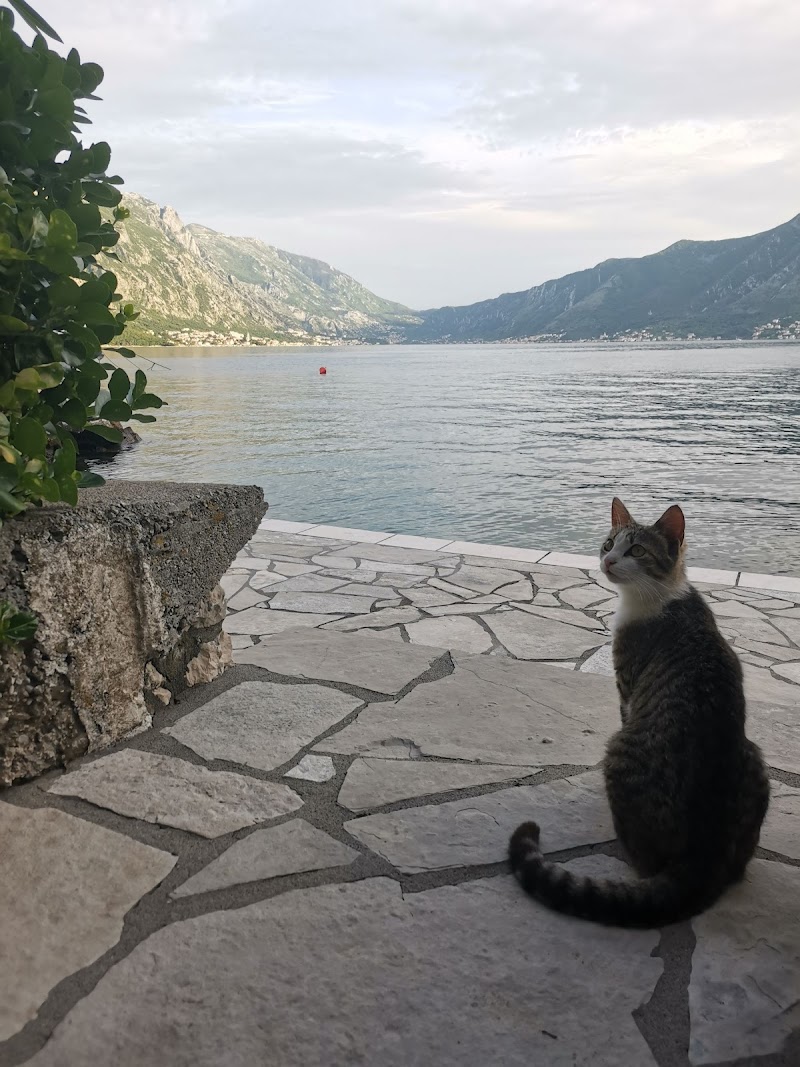 Apartment on the Coast of Boka Bay - Apartment on the Coast of Boka Bay, Orahovac BB, FQR3+2GJ, Orahovac 85330, Montenegro