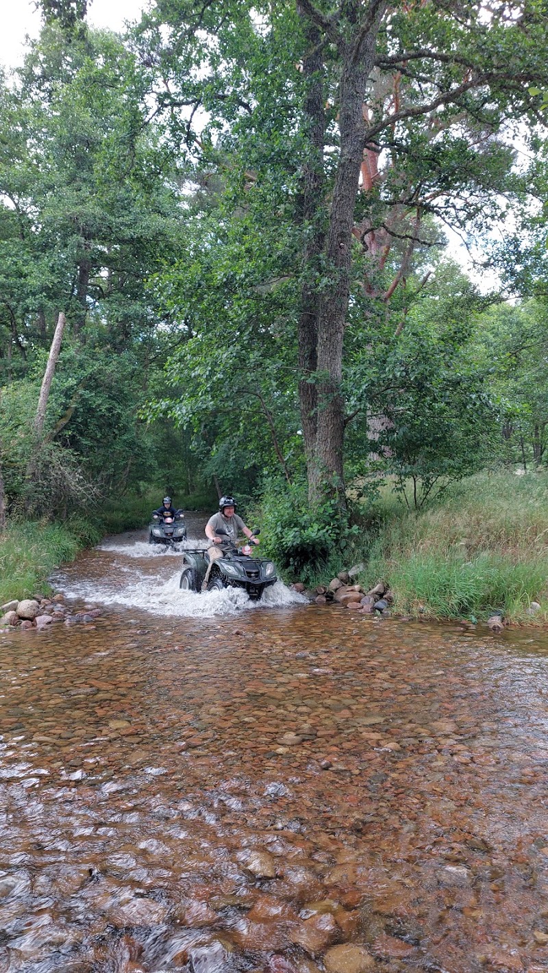 Rothiemurchus - Rothiemurchus Rothiemurchus Centre, Aviemore PH22 1QH, UK