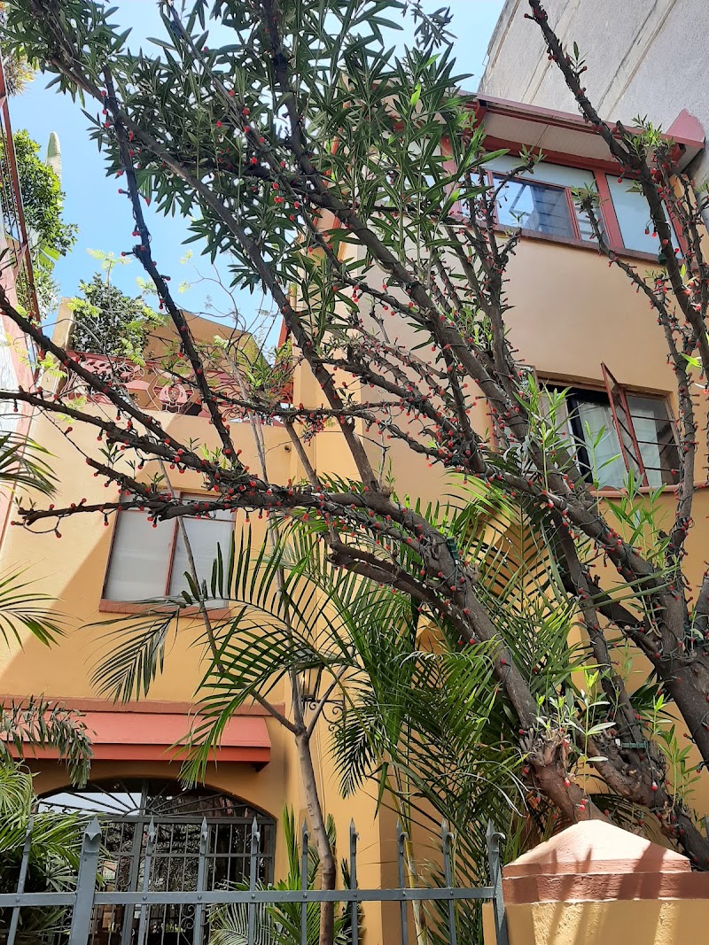 La Condesa - La Condesa, 06140 Mexico City, CDMX, Mexico