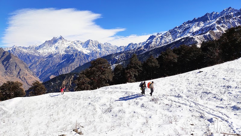 Dunagiri - Dunagiri, Chamoli, Uttarakhand 246483, India