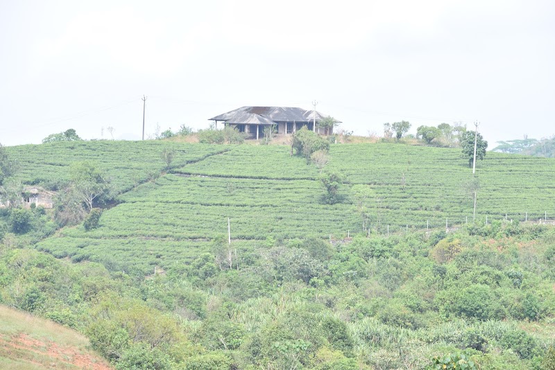 Vagamon Meadows - Vagamon Meadows Vagamon, Kolahalamedu, Kerala 685501, India