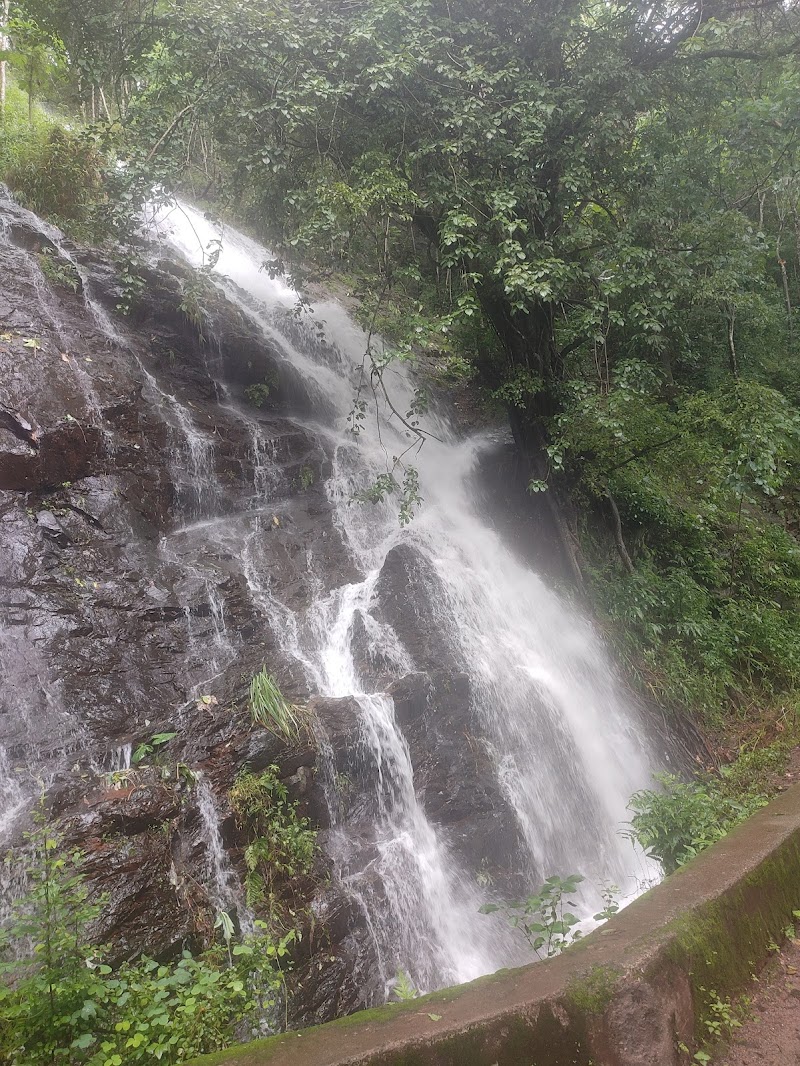 Coorg Travel Stay and Coorg Travel Guide - Coorg Travel Stay and Coorg Travel Guide CQHC+FGH, Ibnivalvadi Rural, Karnataka 571237, India