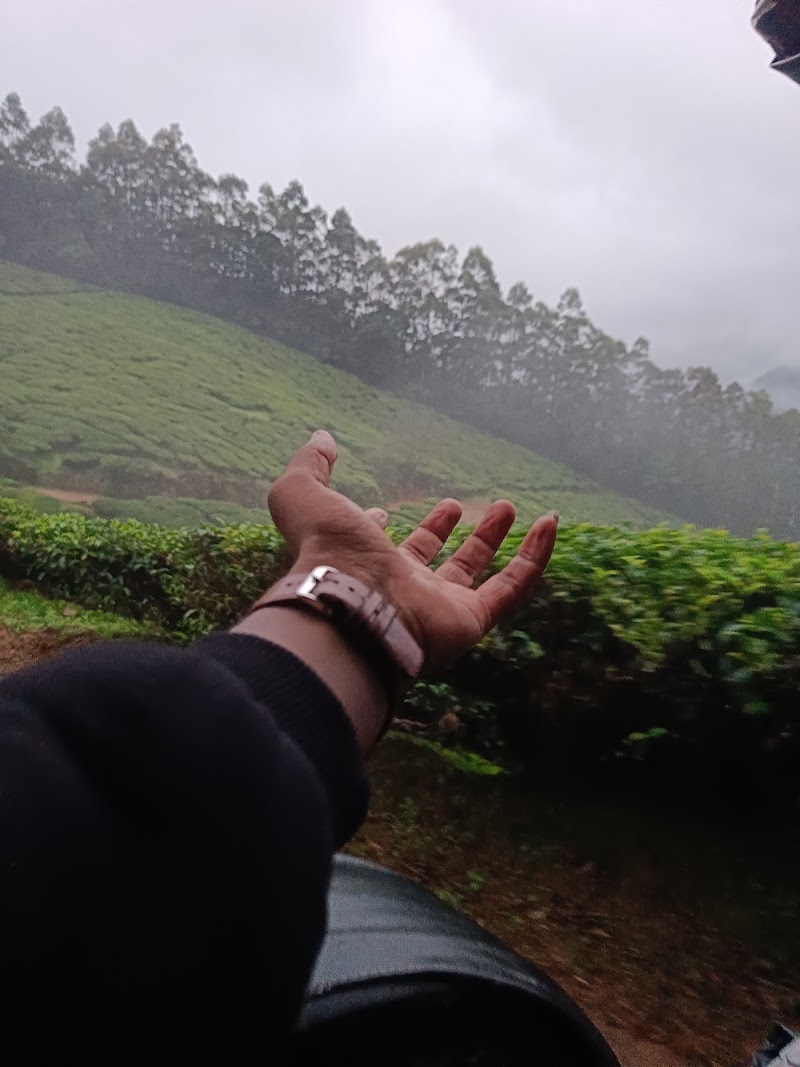 MUNNAR ADVENTURES BASE CAMP - MUNNAR ADVENTURES BASE CAMP, HML tea factory, Road, Suryanelli, Kerala 685618, India