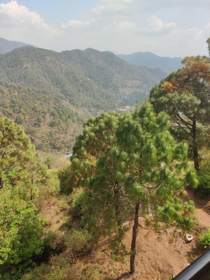 Kasauli food point - Kasauli Food Point, Kasauli Road, Dharampur, Himachal Pradesh 173209, India