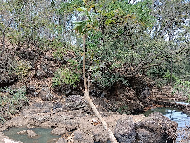 Netarhat Forest Bunglow - Netarhat Forest Bunglow, F7P7+5WC, Netarhat, Jharkhand 835218, India