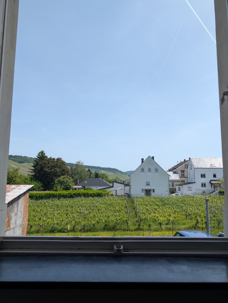 Weingut Max Ferd. Richter - Weingut Max Ferd. Richter, Hauptstraße 85, 54486 Mülheim an der Mosel, Germany