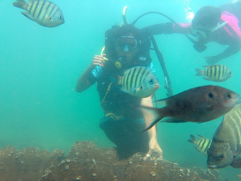 Samarth Scuba Diving In Malvan & Tarkarli water sport - Samarth Scuba Diving In Malvan & Tarkarli water sport, Dandeshwar Mandir Dandi, Malvan, Maharashtra 416606, India