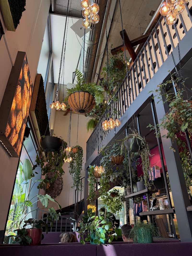 BEETNUT - BEETNUT Lagerstrasse 16b, 8004 Zürich, Switzerland