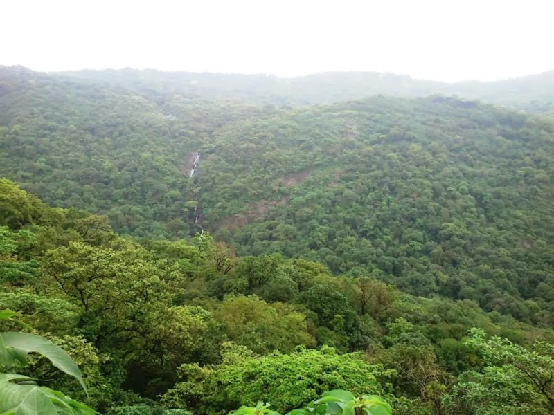 Tungareshwar Wildlife Sanctuary