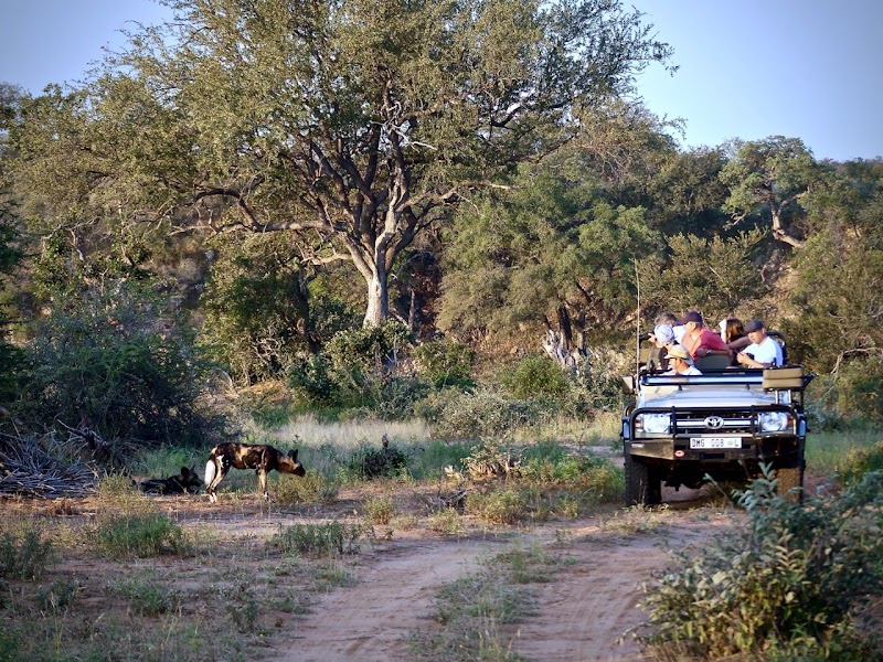 Klaserie Private Nature Reserve - Klaserie Private Nature Reserve, Hoedspruit, 1380, South Africa