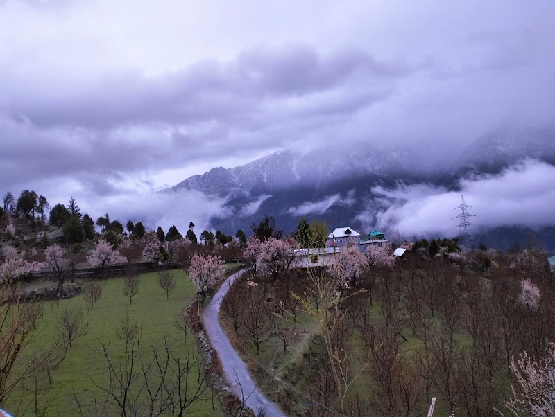 Pranshi Home Stay Kalpa - Pranshi Home Stay Kalpa kalpa, Saryo, Kalpa, Himachal Pradesh 172108, India