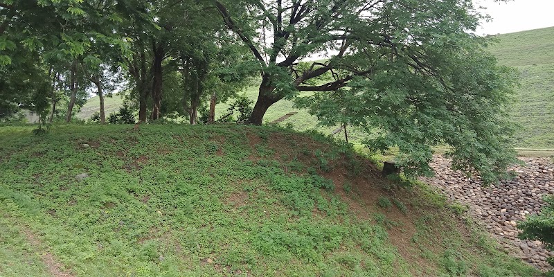 Tawa Dam - Tawa Dam Tawa Dam, Madhya Pradesh 461551, India