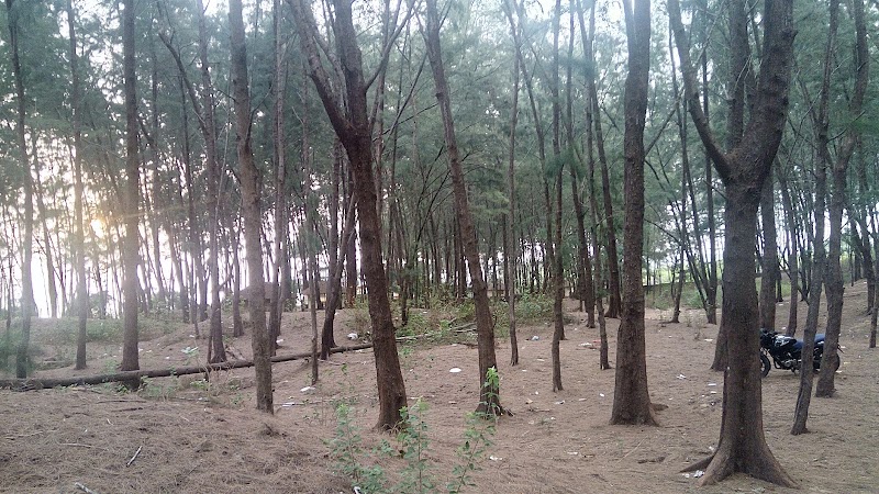 Sagareshwar Beach - Sagareshwar Beach, RJXH+H48, Ubhadanda, Maharashtra 416516, India