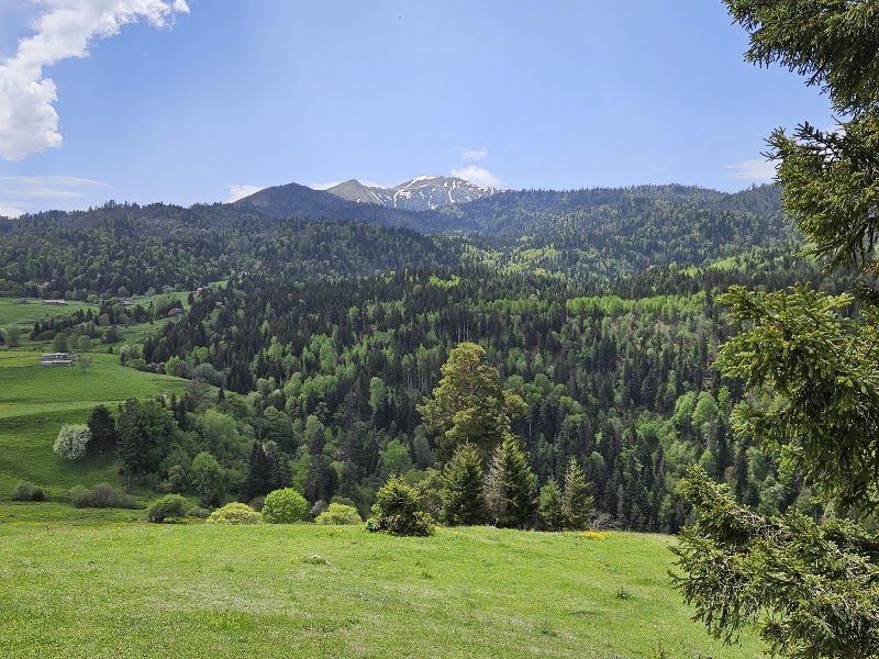 Borjomi & Kharagauli National Park - Borjomi & Kharagauli National Park, V66F+3JV, Kvabiskhevi, Georgia