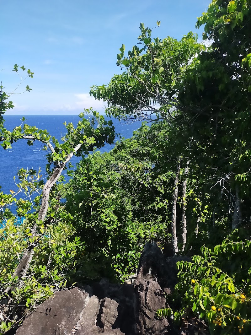 Apo Island View Deck - Apo Island View Deck, 37C9+F7W, Dauin, Negros Oriental, Philippines