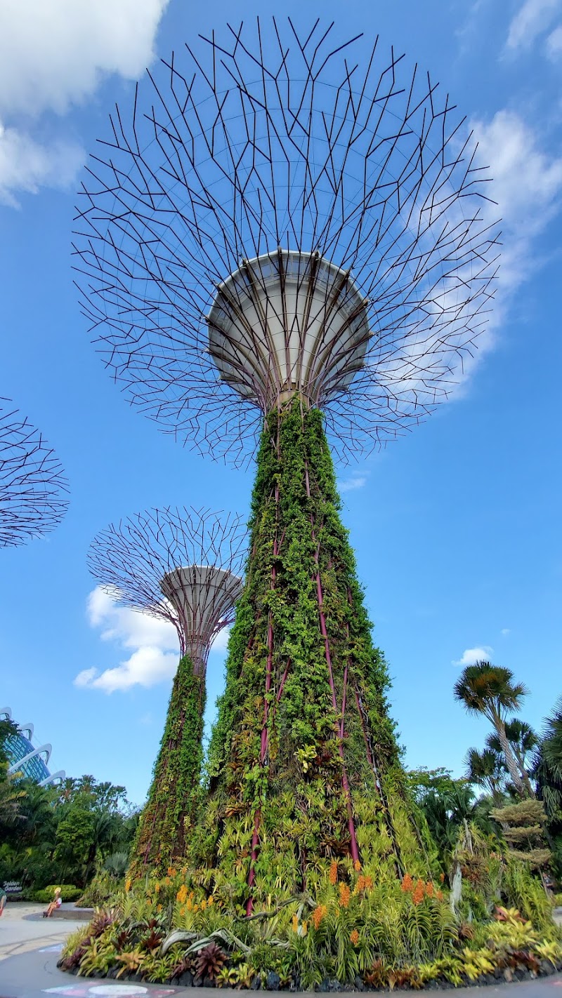 Supertree Grove - Supertree Grove 18 Marina Gardens Dr, Singapore 018953