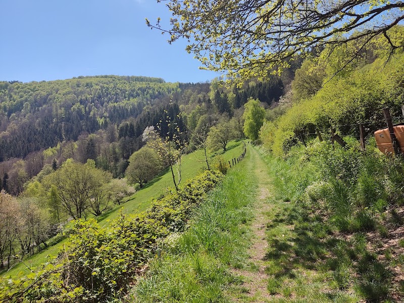 Eifel Rursee - Eifel Rursee, Seeufer 10, 52152 Simmerath-Rurberg, Germany