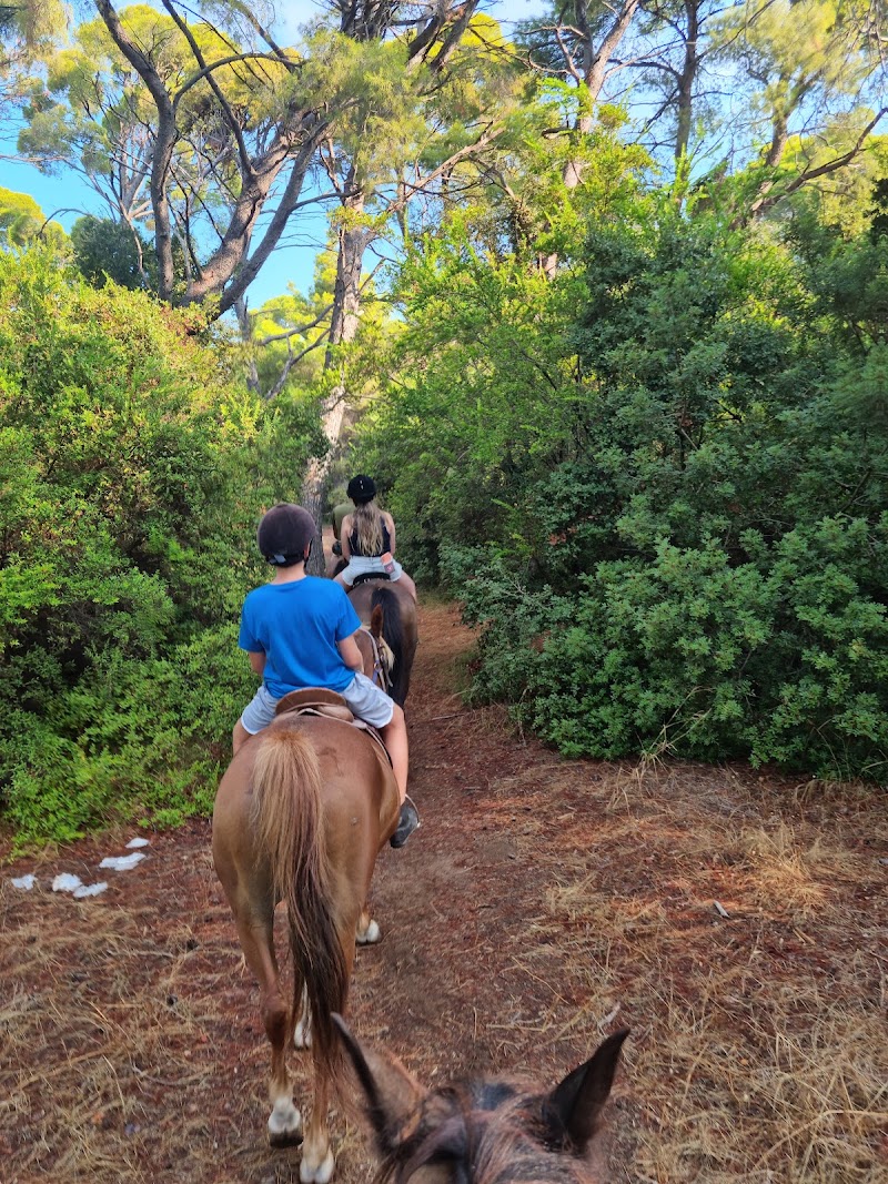 Elea Horse Riding - Elea Horse Riding, EO Pirgou Kiparissias, ΚΥΠΑΡΙΣΣΙΑ 245 00, Greece