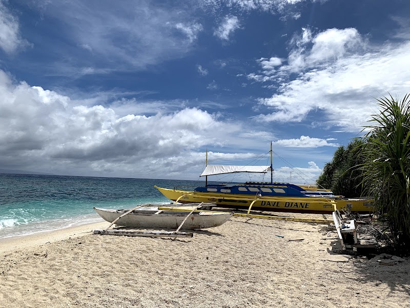 Balicasag Marine Sanctuary - Balicasag Marine Sanctuary GM8J+4QG, Panglao, Bohol, Philippines
