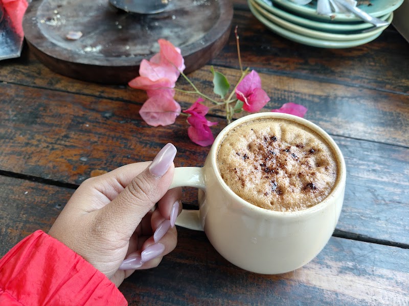 The Cactus Garden Cafe - The Cactus Garden Cafe, Bareilly - Nainital Rd, Bhujiyaghat, Smanora Range, Uttarakhand 263126, India