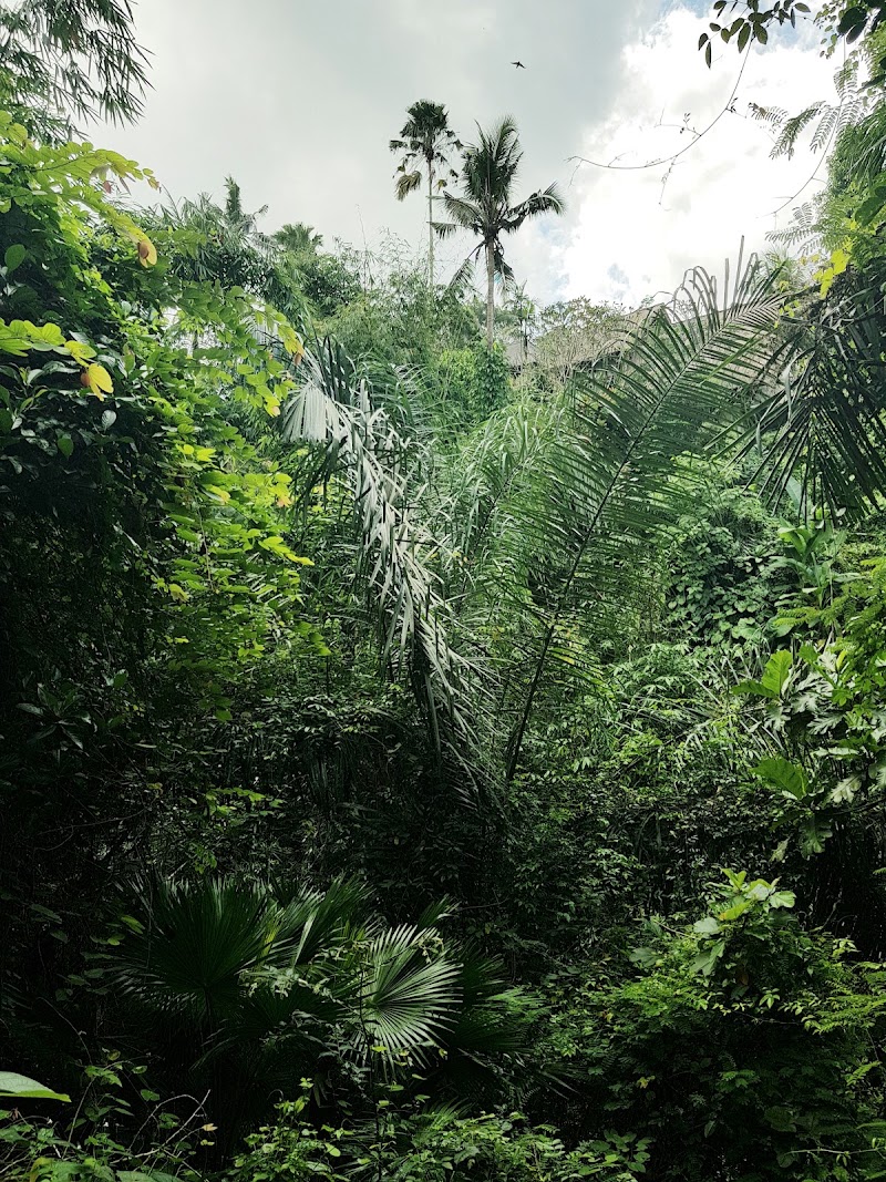 Campuhan Ridge Walk Temple House - Campuhan Ridge Walk Temple House G744+59H, Jl. Bangkiang Sidem, Keliki, Kec. Tegallalang, Kabupaten Gianyar, Bali 80571, Indonesia