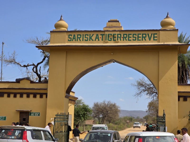 Sariska Safari Booking - Sariska Safari Booking Neare Sariska tiger reserve booking office, Ganeshpura With Rundh Kali Ghati, Rajasthan 301022, India