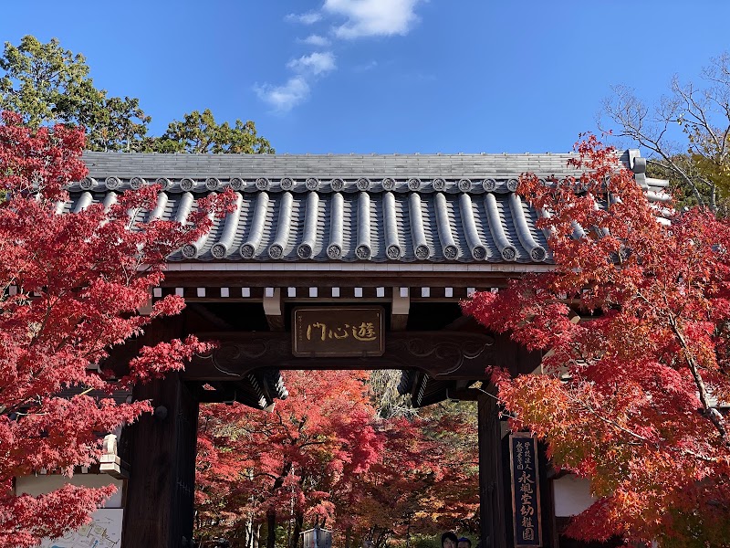 Eikandō Temple - Eikandō Temple, 48 Eikandōchō, Sakyo Ward, Kyoto, 606-8445, Japan